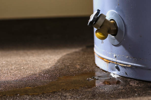Best 24/7 water damage repair  in Seminole Manor, FL