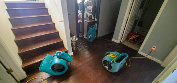 Best Flood damage cleanup  in Seminole Manor, FL