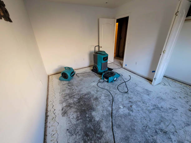 Best Water damage restoration near me  in Seminole Manor, FL