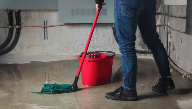 Best Ceiling water damage repair  in Seminole Manor, FL