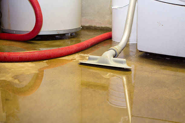 Best Residential water damage restoration  in Seminole Manor, FL