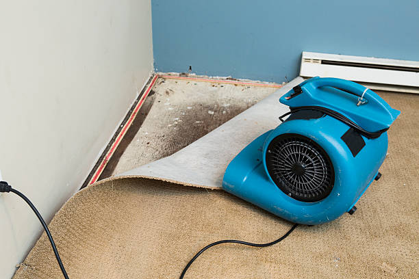 Best Emergency water damage restoration  in Seminole Manor, FL